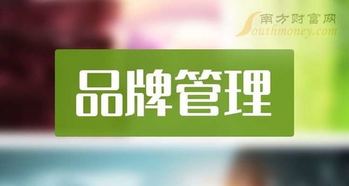 2024年9月2日品牌管理概念上市公司名单大盘点